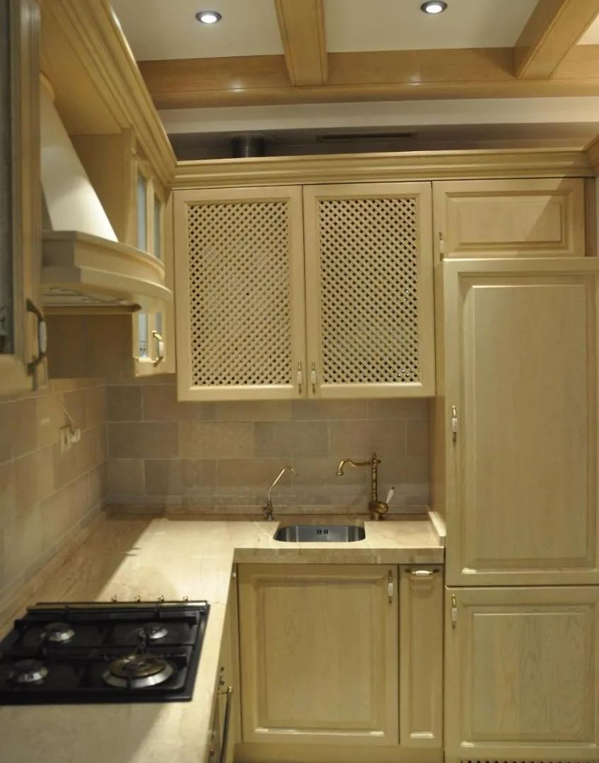 Apartments In Lviv Center 0*,